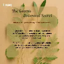 18.webp