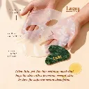 14.webp