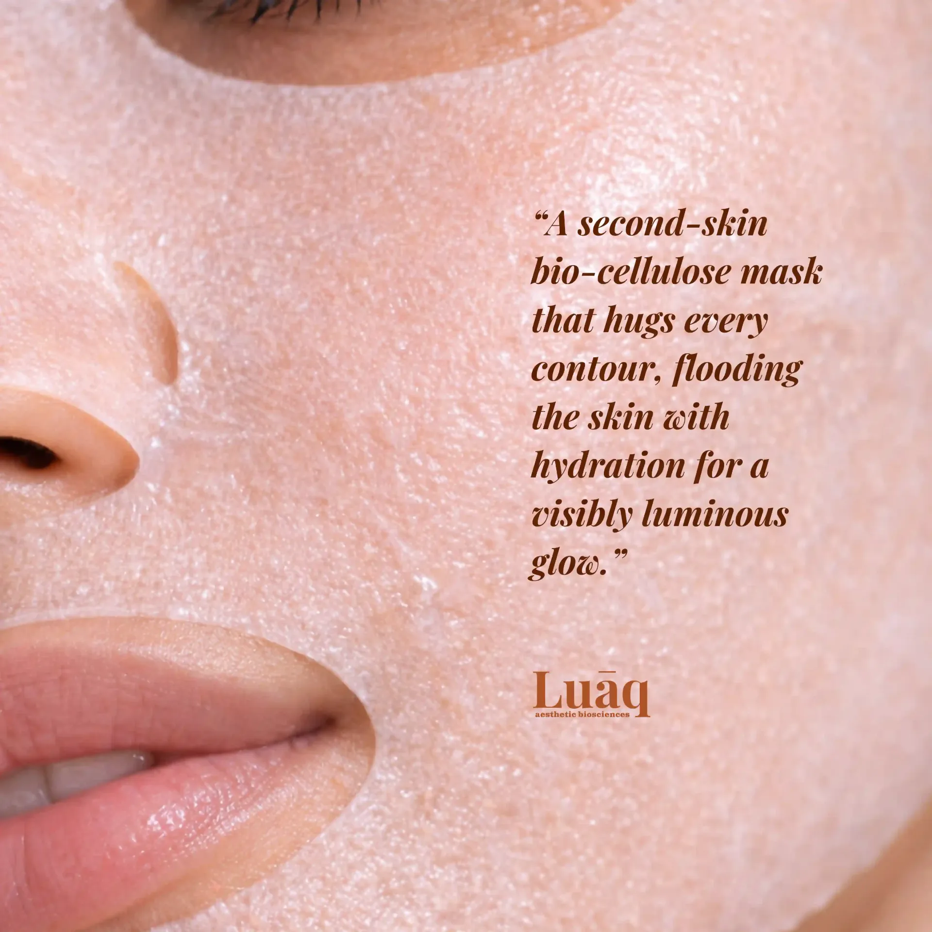 Luaq Premium Bio Cellulose Face & Neck Mask Kit